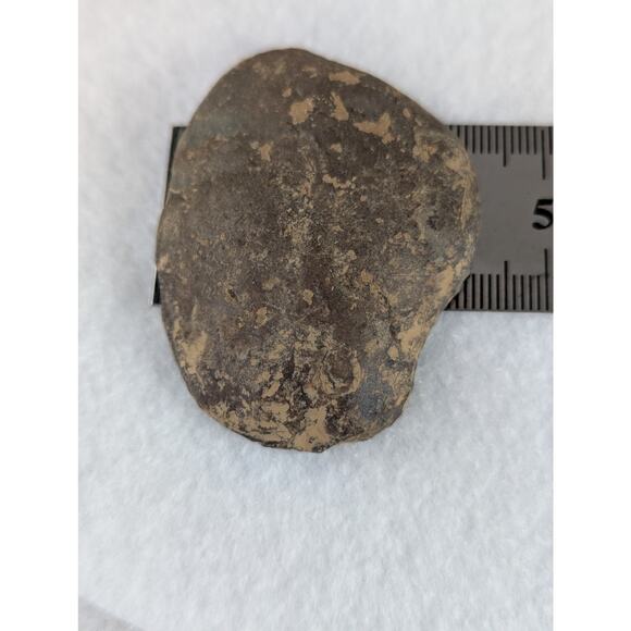 Dragon Stone Septarian slice fossil 41 x 55mm 35.5 grams Thunder egg NWOT - Picture 2 of 11